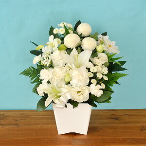 yŒZ14Yzr      mԂg ̂AWMTCY  t[Mtg AWg    S ybg @ 