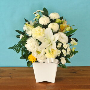 yŒZ14Yzr      mԂg ̂AWMTCY  t[Mtg AWg    S ybg @ 