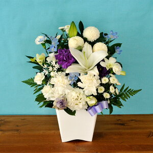 yŒZ14Yzr      mԂg ̂AWMTCY  t[Mtg AWg    S ybg @ 