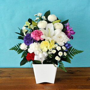 yŒZ14Yzr      mԂg ̂AWMTCY  t[Mtg AWg    S ybg @ 