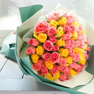 yŒZzBzo 30{ 50{ 60{ ԑ v[g Ǝ j t[Mtg KN җj  av[g  JXj  { w a LO  j 