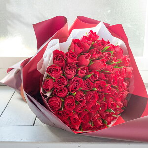 yŒZzBzo 30{ 50{ 60{ ԑ v[g Ǝ j t[Mtg KN җj  av[g  JXj  { w a LO  j 