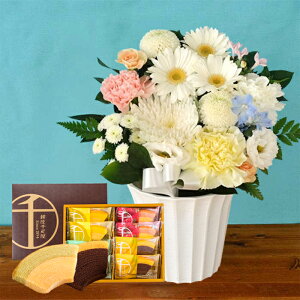 r     mԂg{̂܂   STCY+Iׂ َq  Zbg t[Mtg J}[\N WEDGEWOOD N[w D JXe 