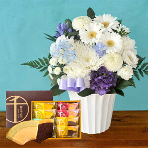     mԂg{̂܂   STCY+Iׂ َq  Zbg t[Mtg J}[\N WEDGEWOOD N[w D JXe  ~ V~ 