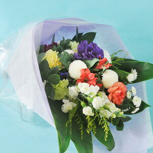 yŒZ14Yzr   N[֑Ή   AWg mԂg{̂܂  AW ԑ M L  t[Mtg    yb