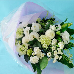 yŒZ14Yzr   N[֑Ή   AWg mԂg{̂܂  AW ԑ S M L  t[Mtg    y