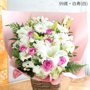 zB ̂jAW ̂j җj Ê  P Ď    AW  av[g Mtg v[g t[AW  ΂ 