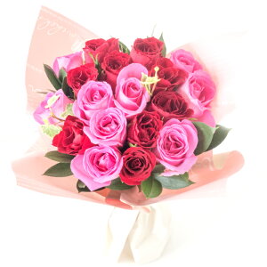 yŒZzBz a  Mtg 12{̃o nOu[P X^fBOu[P u[P t[AWg o Ǝ ԑ ̓ v[g ސE   LO t