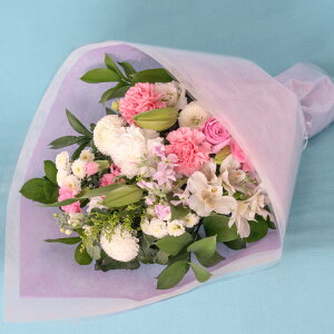 yŒZ14Yzr   N[֑Ή   AWg mԂg{̂܂  AW ԑ M L  t[Mtg    yb