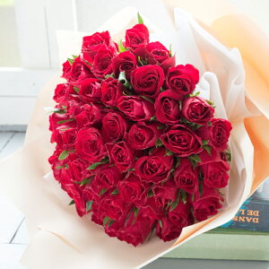 yŒZ14Yz Mtg a o50{ԑ Iׂ {̃AW Ǝ ԑ v[g o t[Mtg t[AWg u[P {w  KN  