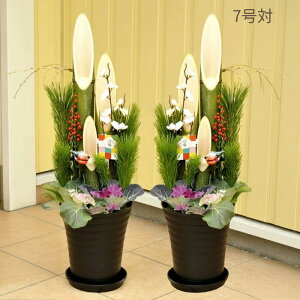 y500~OFFN[|zz 11/30܂Łz叼  2026 _X^C叼 TCYIׂ 7 6 Pi܂͈ 2026N   _叼 VR|  񂹐A }t  M