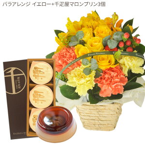 ԂƃXC[cZbgoAWg+yDz}v3@ a LO j XC[c Zbg AW a ŋz FKAASW