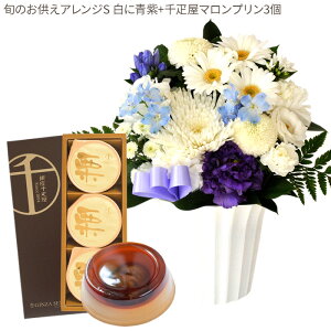 yDzԂƃXC[c̃ZbgmԂg{̂܂  STCY+ D }v3  y@  ~ ފ r @  