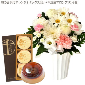 yDzԂƃXC[c̃ZbgmԂg{̂܂  STCY+ D }v3  y@  ~ ފ r @  