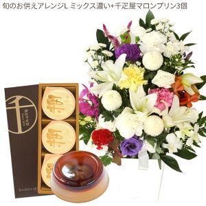 yDzԂƃXC[c̃ZbgmԂg{̂܂  LTCY+ D }v3  y@  ~ ފ r @  