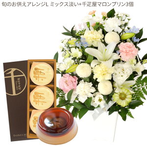 yDzԂƃXC[c̃ZbgmԂg{̂܂  LTCY+ D }v3  y@  ~ ފ r @  