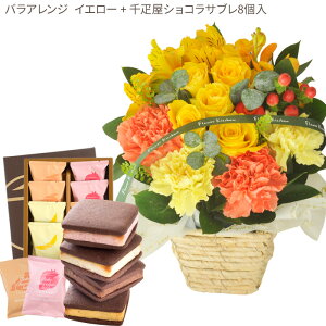 ԂƃXC[cZbgoAWg+yDzĂVRTu8@ a LO j XC[c Zbg AW a ŋz FKAASW