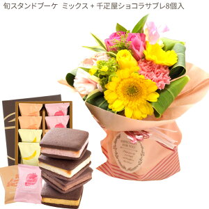 ԂƃXC[cZbg{̃X^fBOu[P+yDzVRTu8@y a LO j XC[c Zbg AW a ŋz FKAASW