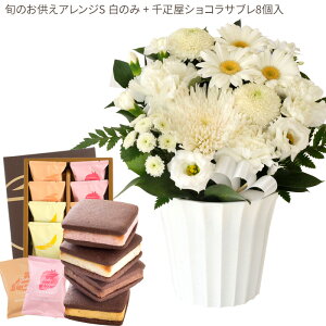 yDzԂƃXC[c̃ZbgmԂg{̂܂  STCY+ D ĂVRTu8  y@  ~ ފ r @ 