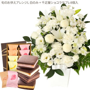 yDzԂƃXC[c̃ZbgmԂg{̂܂  LTCY+ D ĂVRTu8  y@  ~ ފ r @