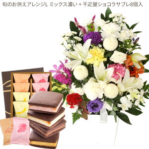 yDzԂƃXC[c̃ZbgmԂg{̂܂  LTCY+ D ĂVRTu8  y@  ~ ފ r @