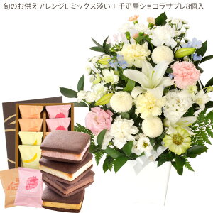 yDzԂƃXC[c̃ZbgmԂg{̂܂  LTCY+ D ĂVRTu8  y@  ~ ފ r @