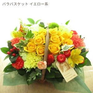 yŒZ14Yza  Mtg IׂoXPbgAW NX}X  t[AWg o K[x G߂̉ v[g ސE   LO ސEj j 