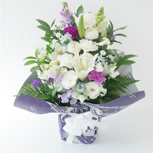 yyzyzAWguSv G߂̂܂ ԃAW Mtg   ̐l 䋟 @  O    {  l\ 