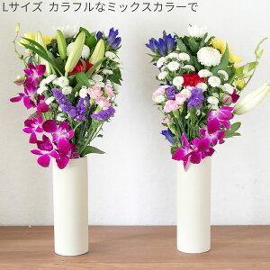 _j[A^ E݁EQ G߂̐Ԃ̂ ԑ E΃Zbg TCYIׂ܂y /Ήz 䋟  V ʖ  @ @v  