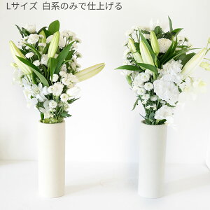 _j[A^ E݁EQ G߂̐Ԃ̂ ԑ E΃Zbg TCYIׂ܂y /Ήz 䋟  V ʖ  @ @v  