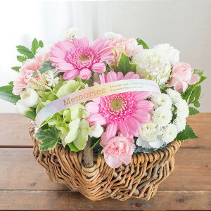 yŒZ14Yz  ybg֑邨 IׂAW oAW K[xoXPbg ybĝ ފ ybgX t[ AWg Mtg ybg{ 