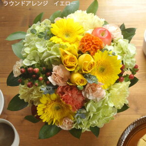 yŒZ14Yza  Mtg IׂAWEԑ t[AWg Eh o K[x G߂̉ v[g ސE   LO ސEj j t[M