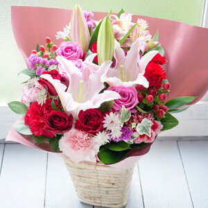 yŒZ14YzIׂ邨jAWg  Mtg a v[g  o  t[AWg   j Mtg ސE ʉ LO j oYj