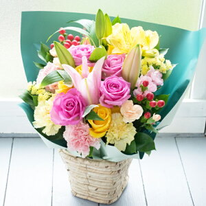 yŒZ14YzIׂ邨jAWg  Mtg a v[g  o  t[AWg   j Mtg ސE ʉ LO j oYj