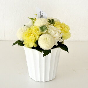 yŒZ12YzD IׂX^C AW u[PyzmԂgEhAWgyԁzy ԁz r @  r 