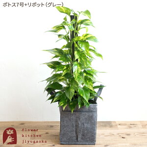 ϗtA pL Iׂ ϗt A 7 j TXxA Xg`A I[KX^ hZi IׂJSt Jo[ 󂯎Mt Ă₷ JXj JƏj ړ]j  V 