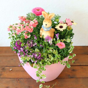 G߂̂Ԃ̊񂹐A ԕc6 ^^ v^[ 񂹐A  Mtg  t   K[fjO A v^[ t[Mtg a JX zj Vzj CeA 