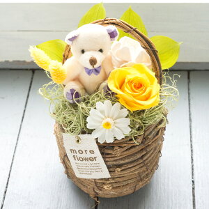 vU[uht[wloulou bearx xA ʂݕtMtg  a v[g    c j oYj ̓ efBxA ސEj ʉ uU[ht