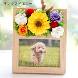 【最短翌日★14時〆】敬老の日 プリザーブドフラワー 写真立て 結婚祝い フラワーフォトフレーム 選べる7種 花 誕生日 プレゼント ギフト アートフラワー l判 還暦祝い 送料無料 お花 女性 妻 おしゃれ お礼 ギフト 送別会 ペット お供え フラワーキッチン 自由が丘 FKTPH