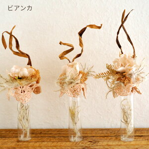 e[ut[ A[gt[  Mtg a ̓ v[g    FB Mtg   j CeA v[g  ͂͂̓   FKTPH