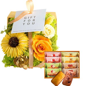 ̓ v[g vU[uht[ V[[Y ͂Ȃ yza ͂Ȃ a j oYj LO a v[gyԁzyԁzAW