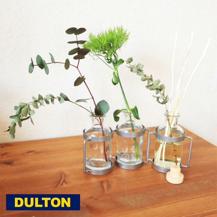 楽天市場 母の日 プレゼント あす楽 Dulton Aroma Diffuser Vase 3b Eucaly Lime 送料込み ダルトン アロマディフューザー フレグランス ユーカリ ライム おしゃれ シンプル インテリア 花瓶 ドライフラワー 店舗用 ディスプレイ用 Fkrsl Flowerkitchenjiyugaoka
