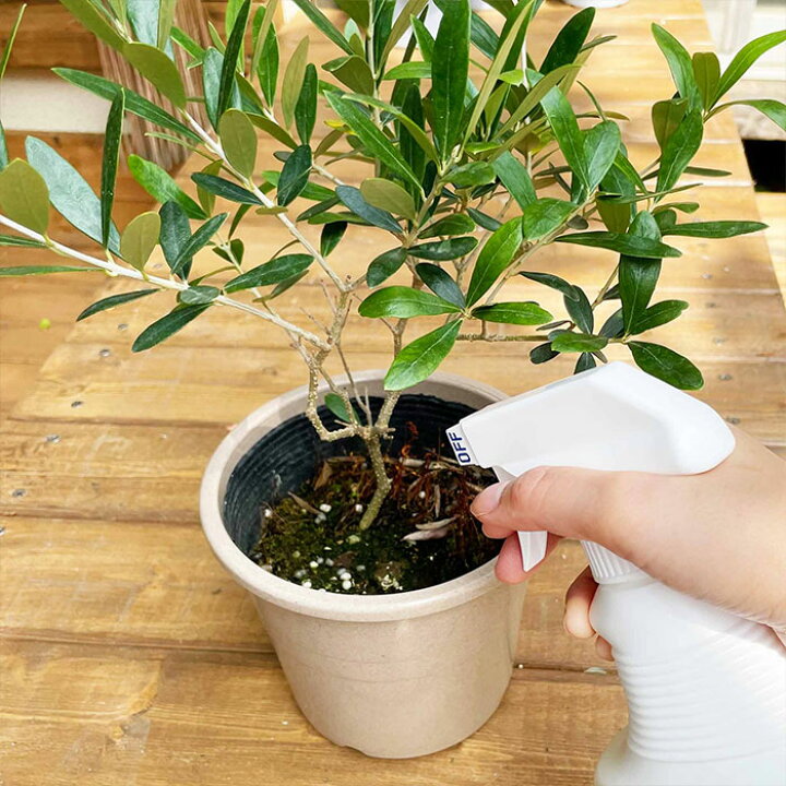 市場 Evo 400ml Insect Spray スプレー Anti 同梱可能 観葉植物 通販 インテリア 除虫菊 虫を寄せつけない水 観葉植物用 モダン