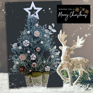 NX}Xc[  NX}Xv[g k NX}X vU[uht[  [J yNX}Xc[{[hz