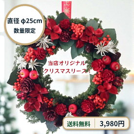 送料無料 クリスマスリース 赤 レッド 玄関用 壁飾り 直径25cm 木の実 北欧風 ハンドメイド プリザーブドフラワー リース【選べるX'masリース】