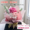 ★11/15限定クーポンで全品10%OFF +ポイント10倍★即日発送 送料無料★プリザーブドフラワー お試し 送料無料 クリスマス 誕生日 卒業 送別 送別会 ウエディング 結婚式 祝電 退職 発表会 ペット仏花 枯れない花 開店祝い 【クリアケース入りkiraraブーケPLUS】