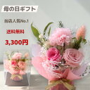 【即日発送】母の日 早割 プリザーブドフラワー ギフト 人気No.1 カーネーション 2026 送料無料 花 プレゼント 女性 誕生日 退職祝い kirara PREMIUM