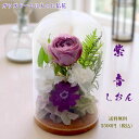 プリザーブドフラワー 仏花 ガラスドーム お彼岸 春の供養 送料無料 お供え花 仏壇用 菊 法要 命日 枯れない花 お悔やみ 【仏花 紫音ーしおん】
