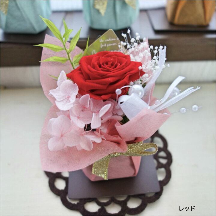 楽天市場 3 980円以上で送料無料 あす楽対応 プリザーブドフラワー 1000円 誕生日 花束 退職 送別 プレゼント お返し 花 お礼 女性 発表会 花 ブリザードフラワー 結婚式 電報 お礼 ペットのお供え Kiraraブーケ フラワーギフト Strawberrygarden 楽天市場 3 980円以上で送料無料 あす楽対応 プリザーブドフラワー 1000円 誕生日 花束 退職 送別 プレゼント お返し 花 お礼 女性 発表会 花 ブリザードフラワー 結婚式 電報 お礼 ペットのお供え Kiraraブーケ フラワーギフト Strawberrygarden