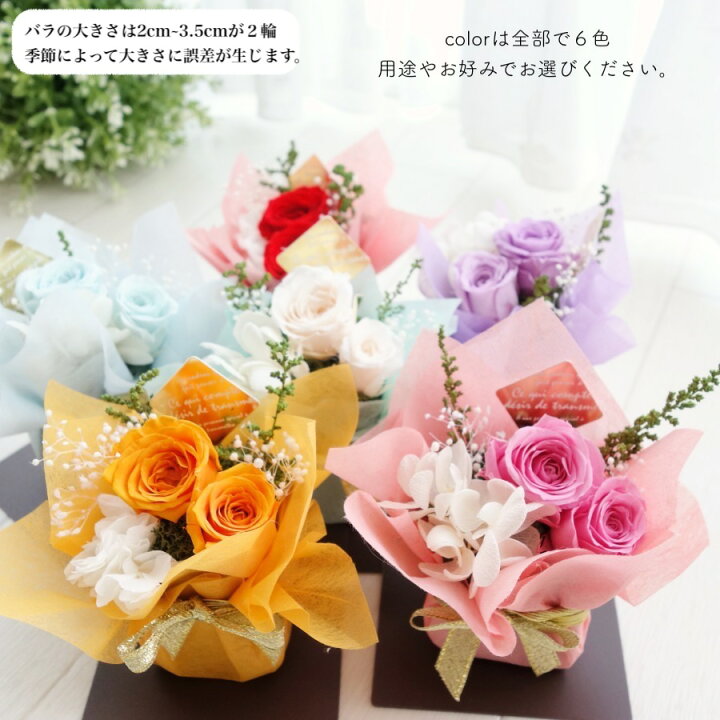 楽天市場 当店一番人気 コミコミ1 980円 あす楽対応 プリザーブドフラワー 誕生日 送料無料 あす楽 00円 バレンタイン 花束 卒業 卒園 退職 先生 先輩 送別 お礼 お返し ギフト ブリザードフラワー 女性 お供え お見舞い ケース入り 結婚式 電報 Kiraraブーケ 楽天市場 当店一番人気 コミコミ1 980円 あす楽対応 プリザーブドフラワー 誕生日 送料無料 あす楽 00円 バレンタイン 花束 卒業 卒園 退職 先生 先輩 送別 お礼 お返し ギフト ブリザードフラワー 女性 お供え お見舞い ケース入り 結婚式 電報 Kiraraブーケ